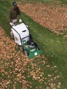 Leaf Vacuum