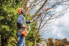 Cordless Pole Pruner