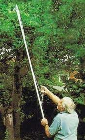 Pole Pruner