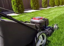 Domestic Lawnmower