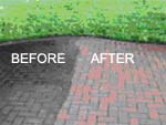 before and after path cleaning